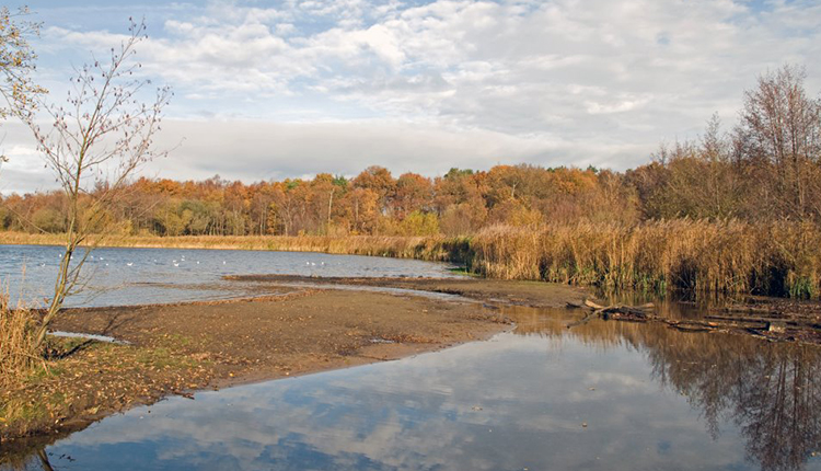 Fleet Pond